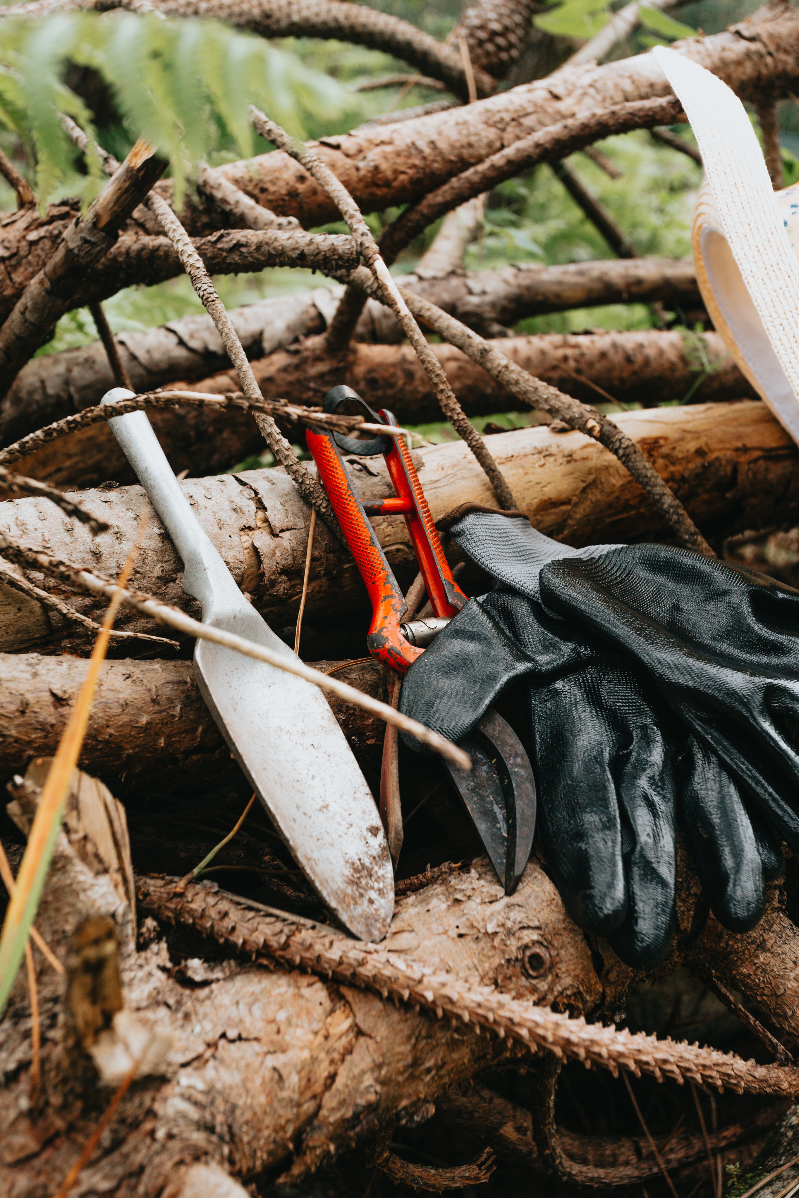 Common Problems with Survival Gardening (and How to Fix It)