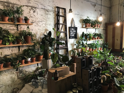 Gardening for Survival Tips