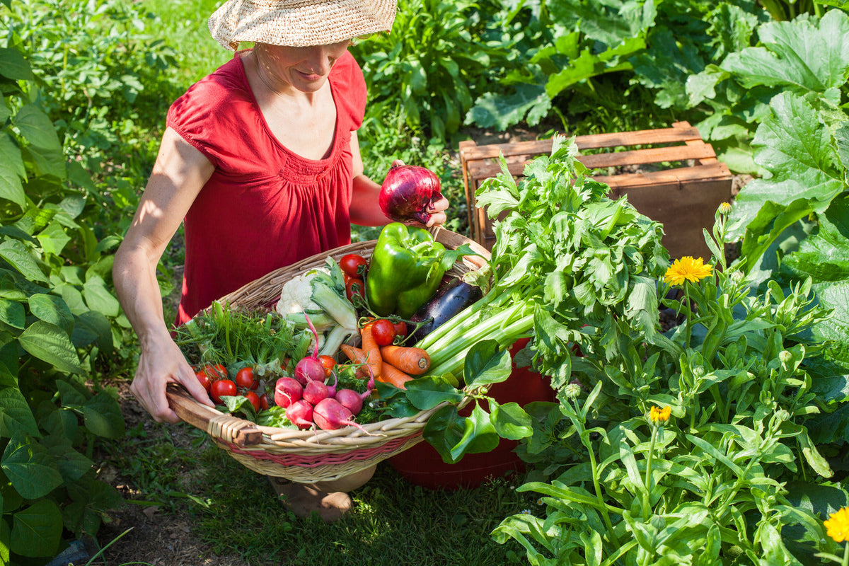 Fastest Growing Plants