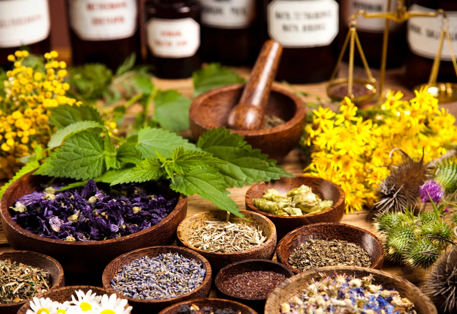 Herbal Recipes: Detox Teas for Weight-Loss and Mood Enhancement