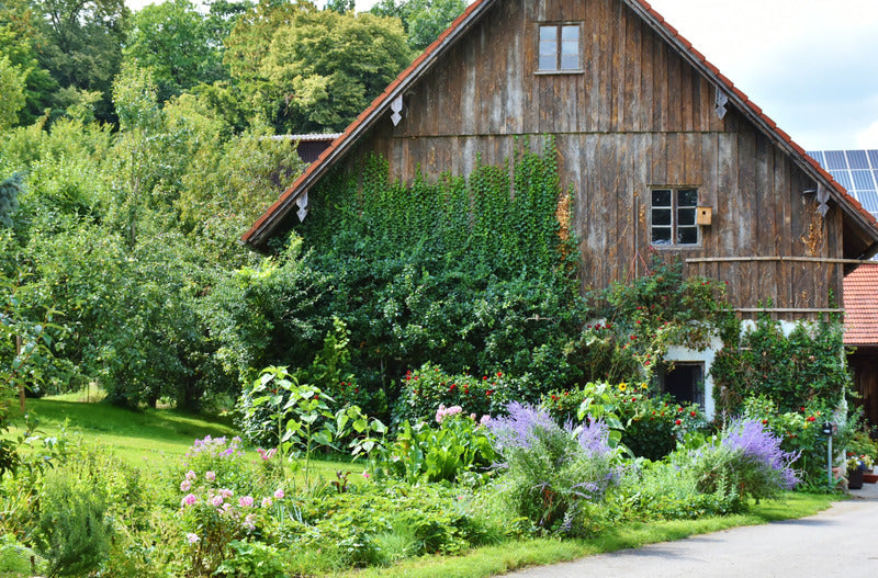 A homestead with garden in a rural setting