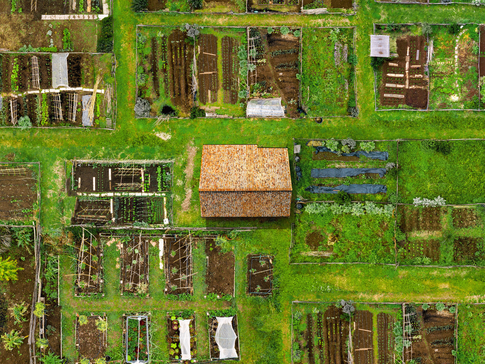 An off grid homestead with many garden beds
