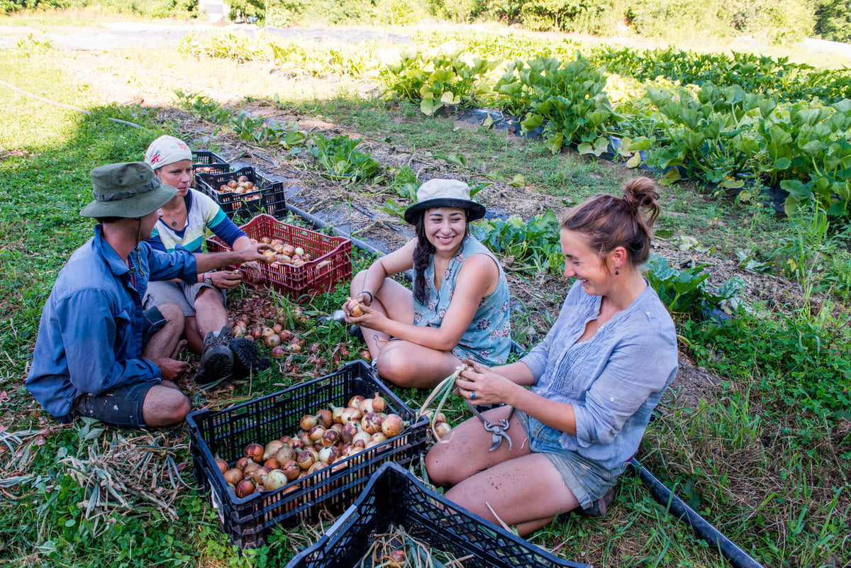 Gardening Community