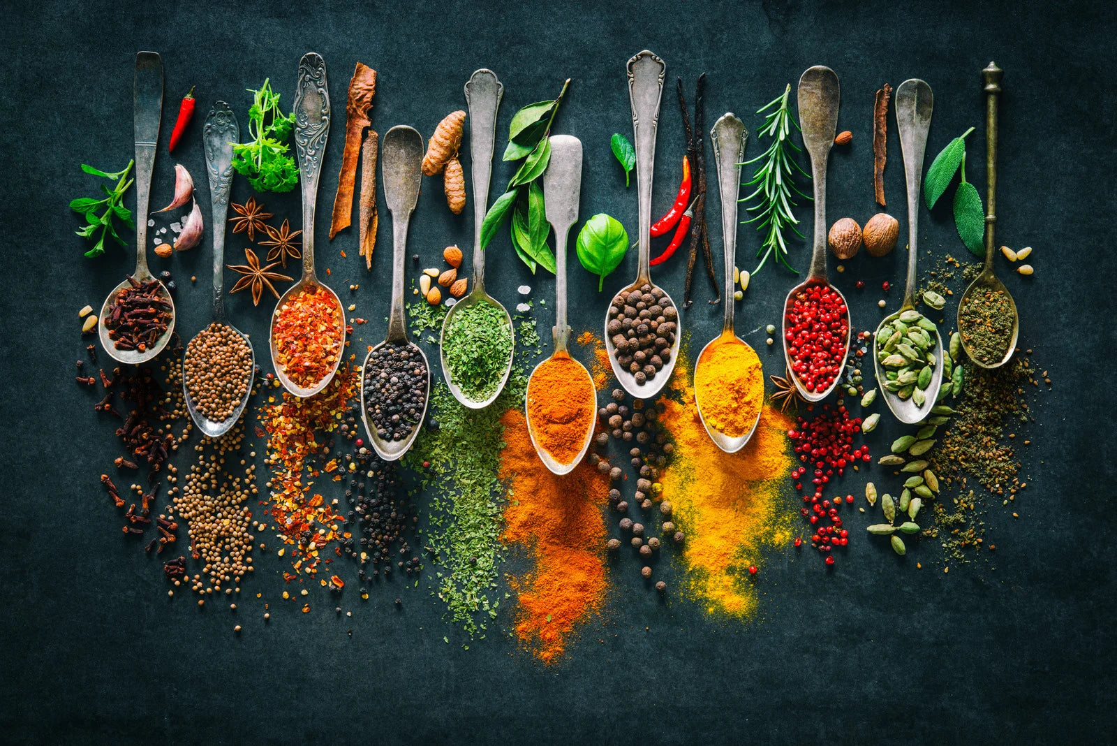 Growing Herbs for Medicine and Cooking in Your Survival Garden