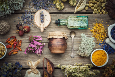 Harnessing the Power of Nature: Growing and Cooking Medicinal Herbs in Your Survival Garden