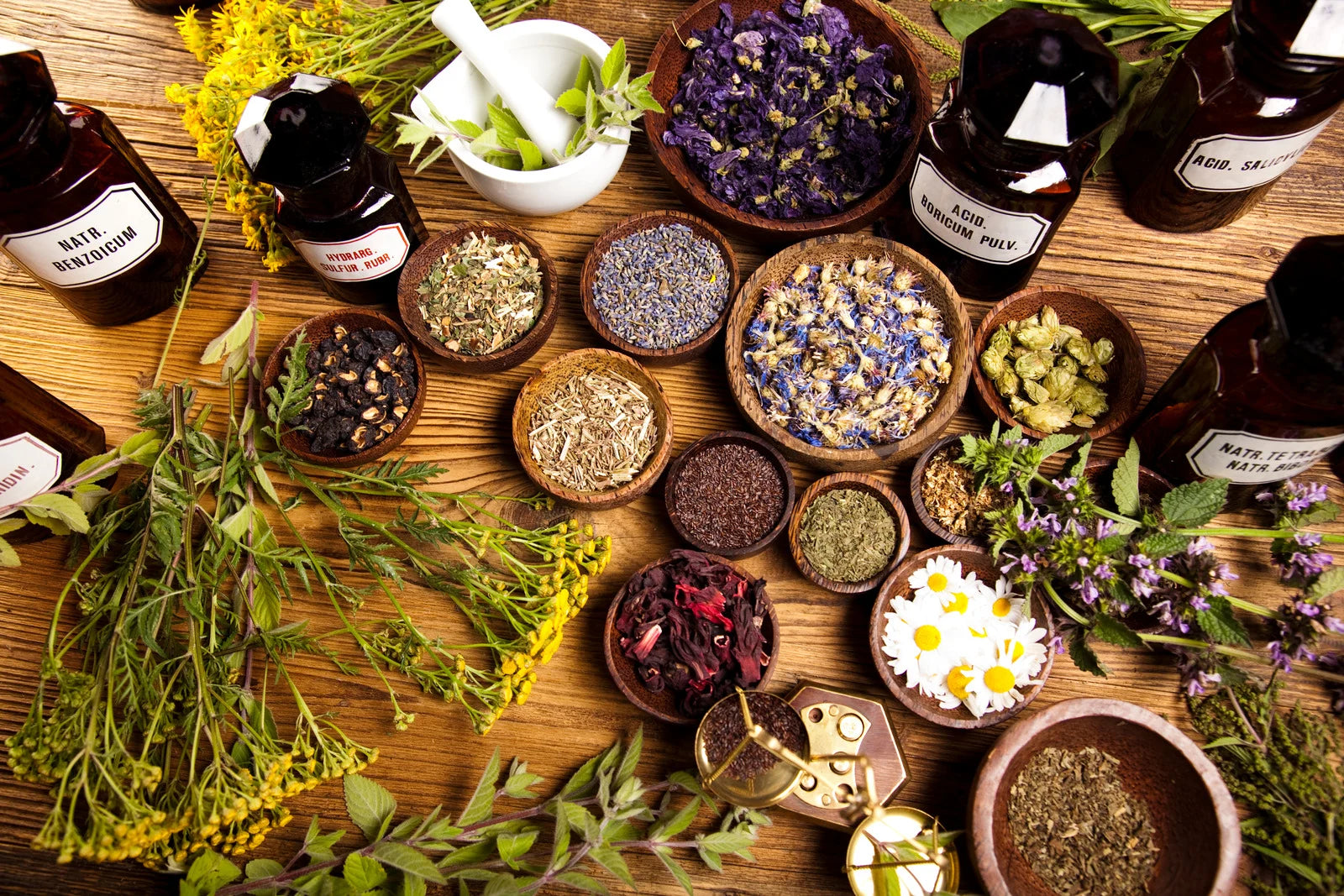 Addressing Drug Shortages: Seed Armory Medical Seed Vaults as a Reliable Alternative