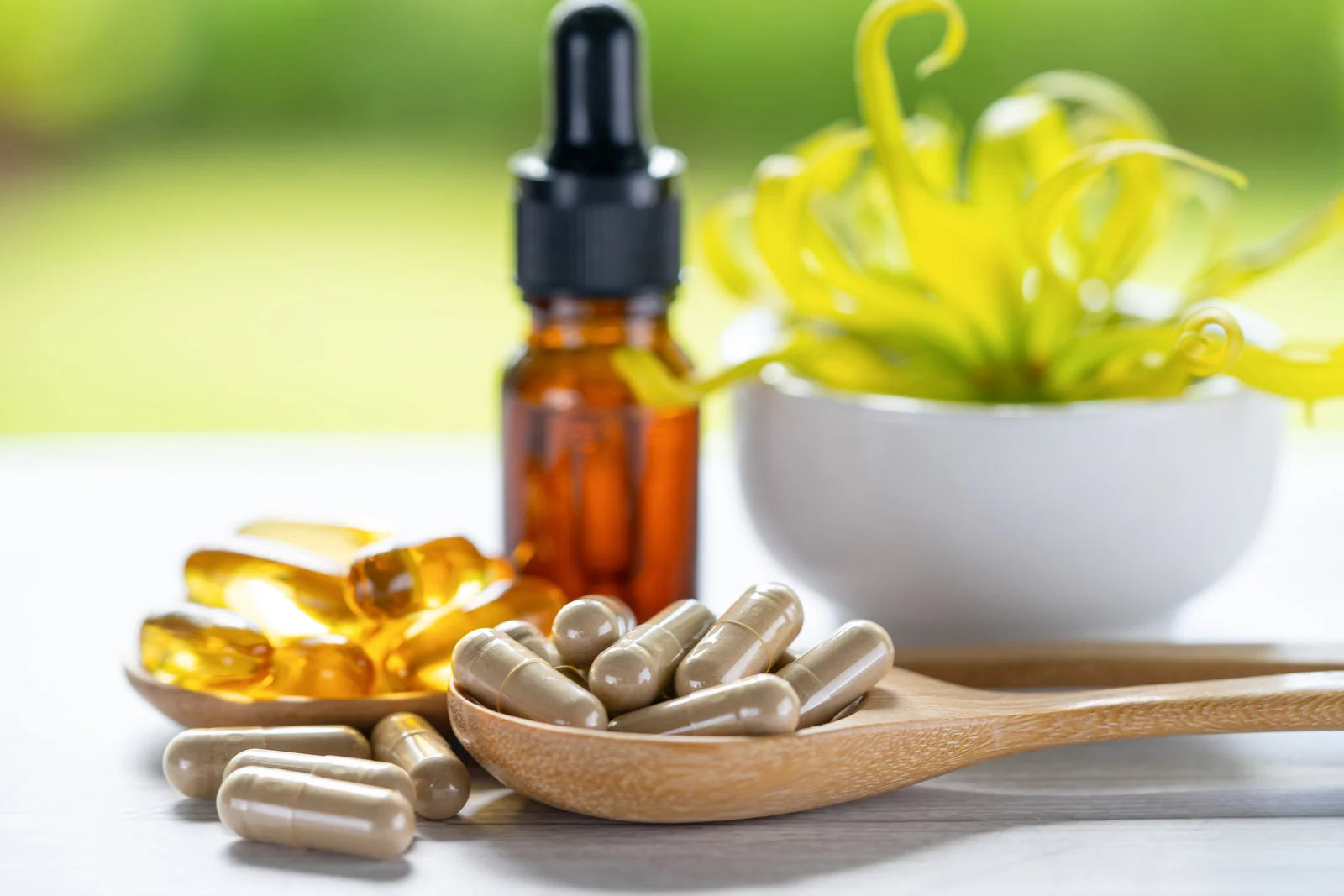 Tackling Drug Shortages: Introducing Seed Armory Medical Seed Vaults