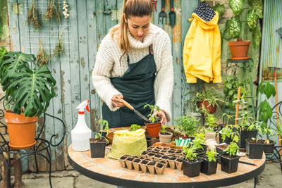 Maximizing Yield in Small Survival Gardens: A Guide to Smart Planting
