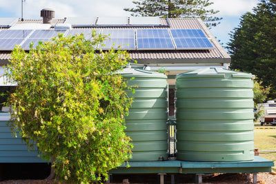 Water Conservation Strategies: Maximizing Resource Efficiency in Your Survival Garden