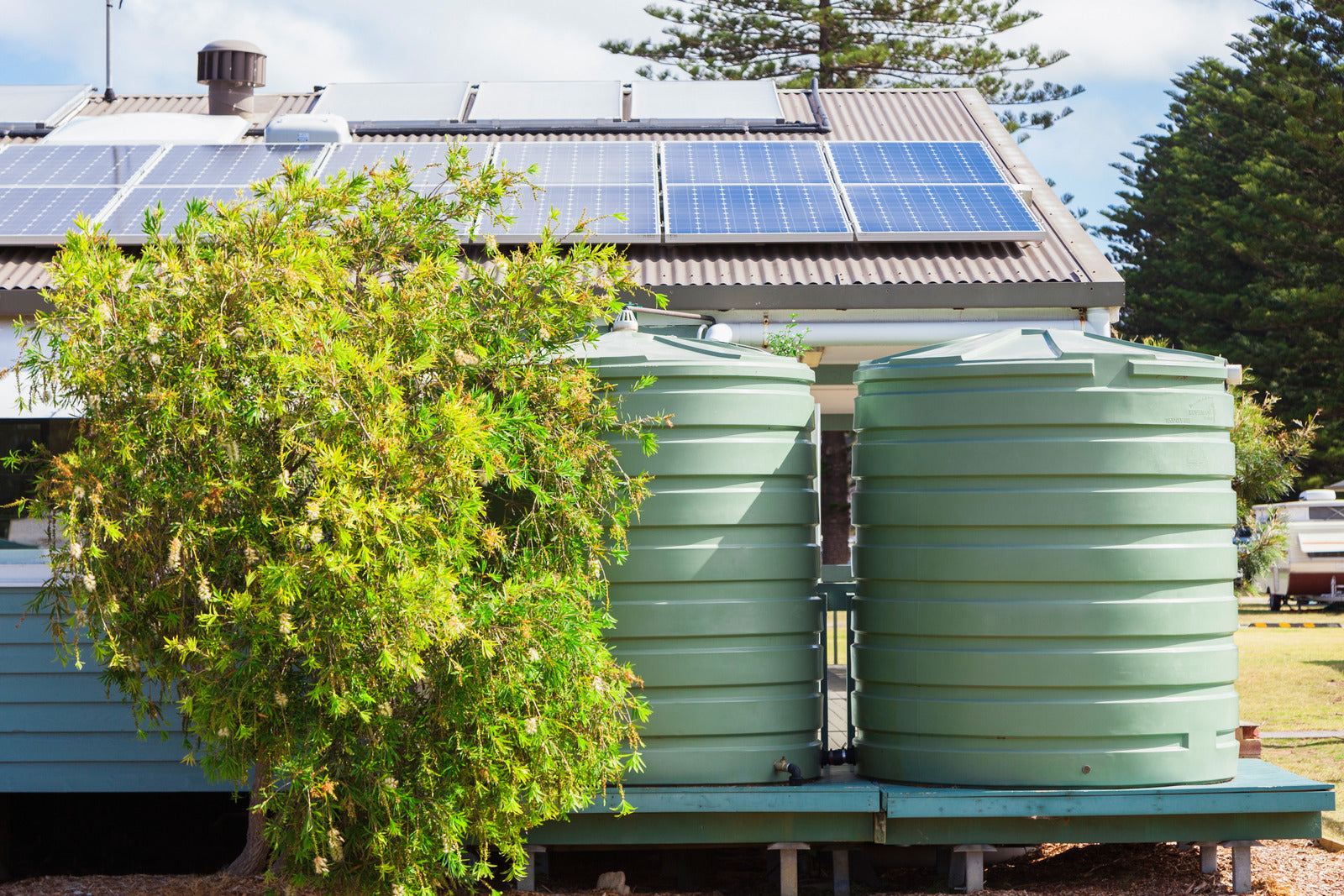 Water Conservation Strategies: Maximizing Resource Efficiency in Your Survival Garden