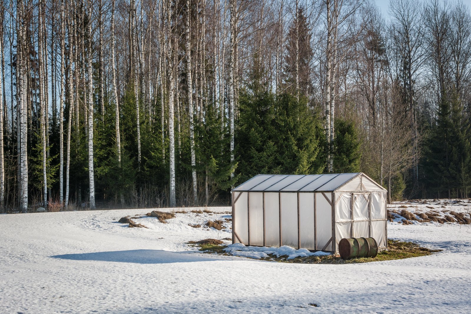 Growing Food Year-Round: Tips for Winter Gardening