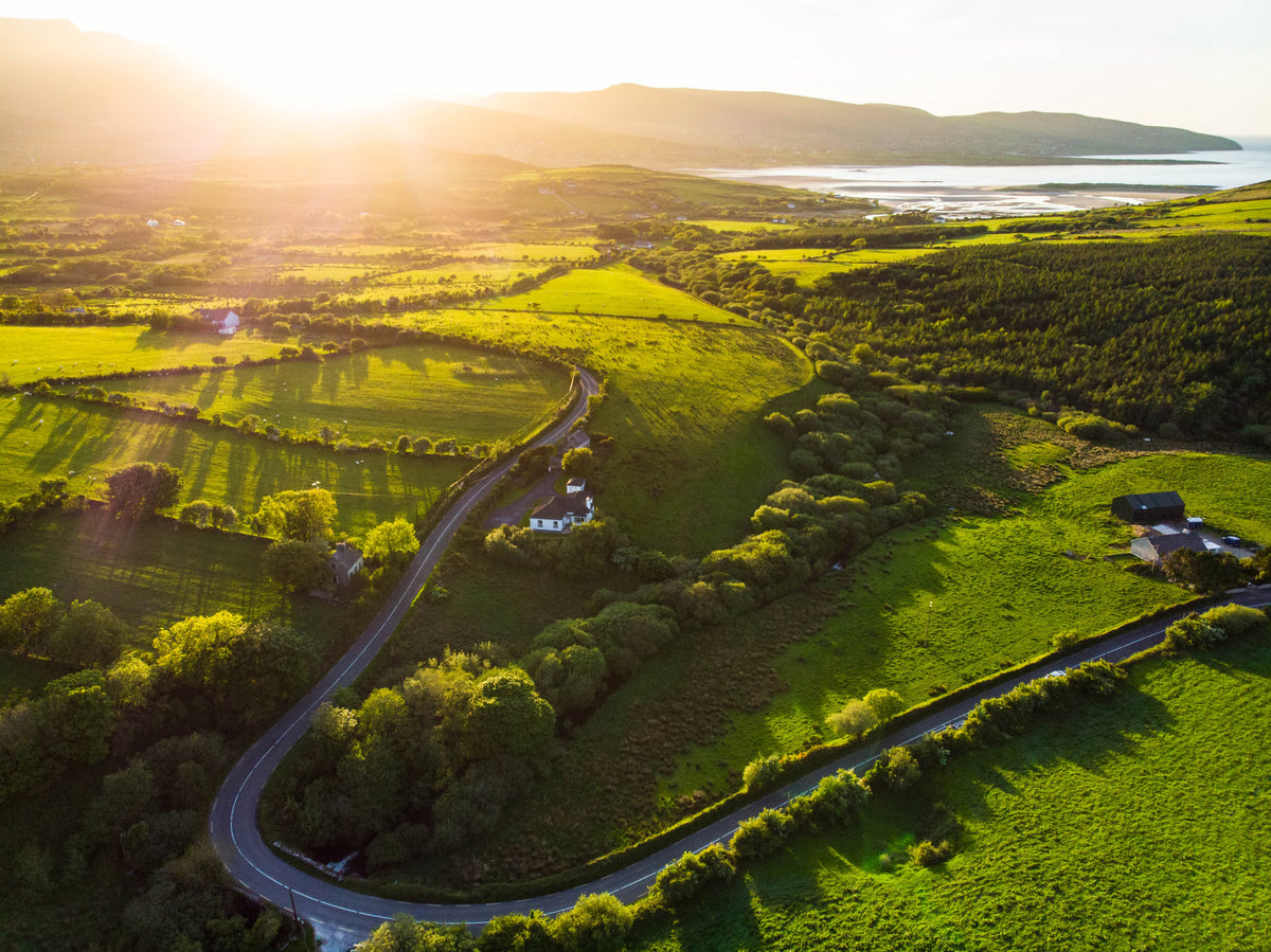 Lush country side with road running through it