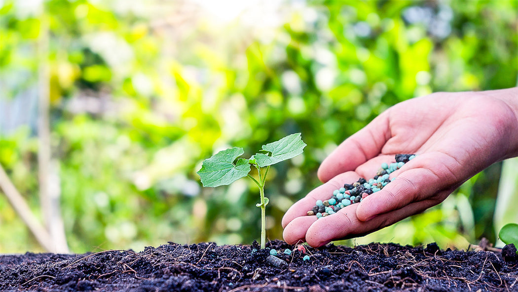 Fertilizing Soil