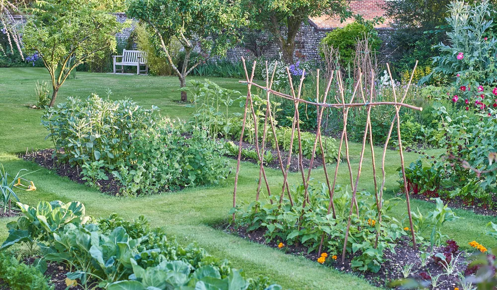 20 Must-Have Survival Seeds for Your Seed Vault