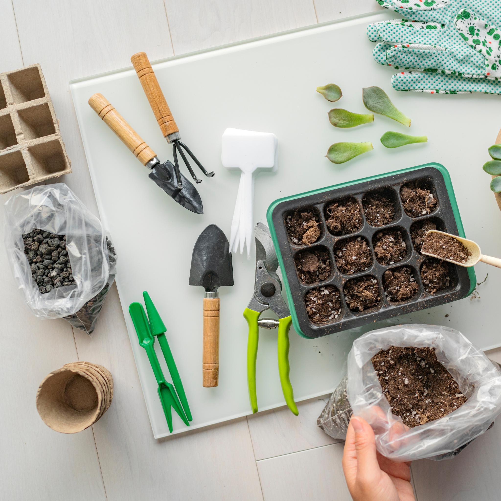 Seed Collecting Kit – Addison West