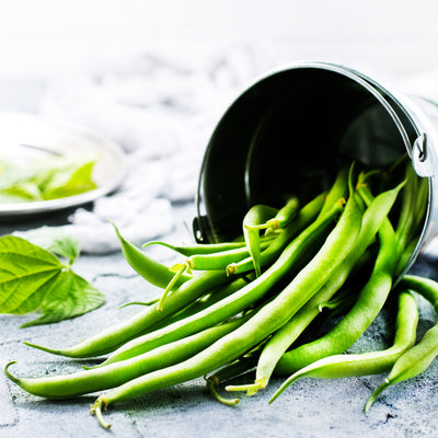 Seed Armory 100% Non-GMO Heirloom Open Pollinated Bean Seed Varieties