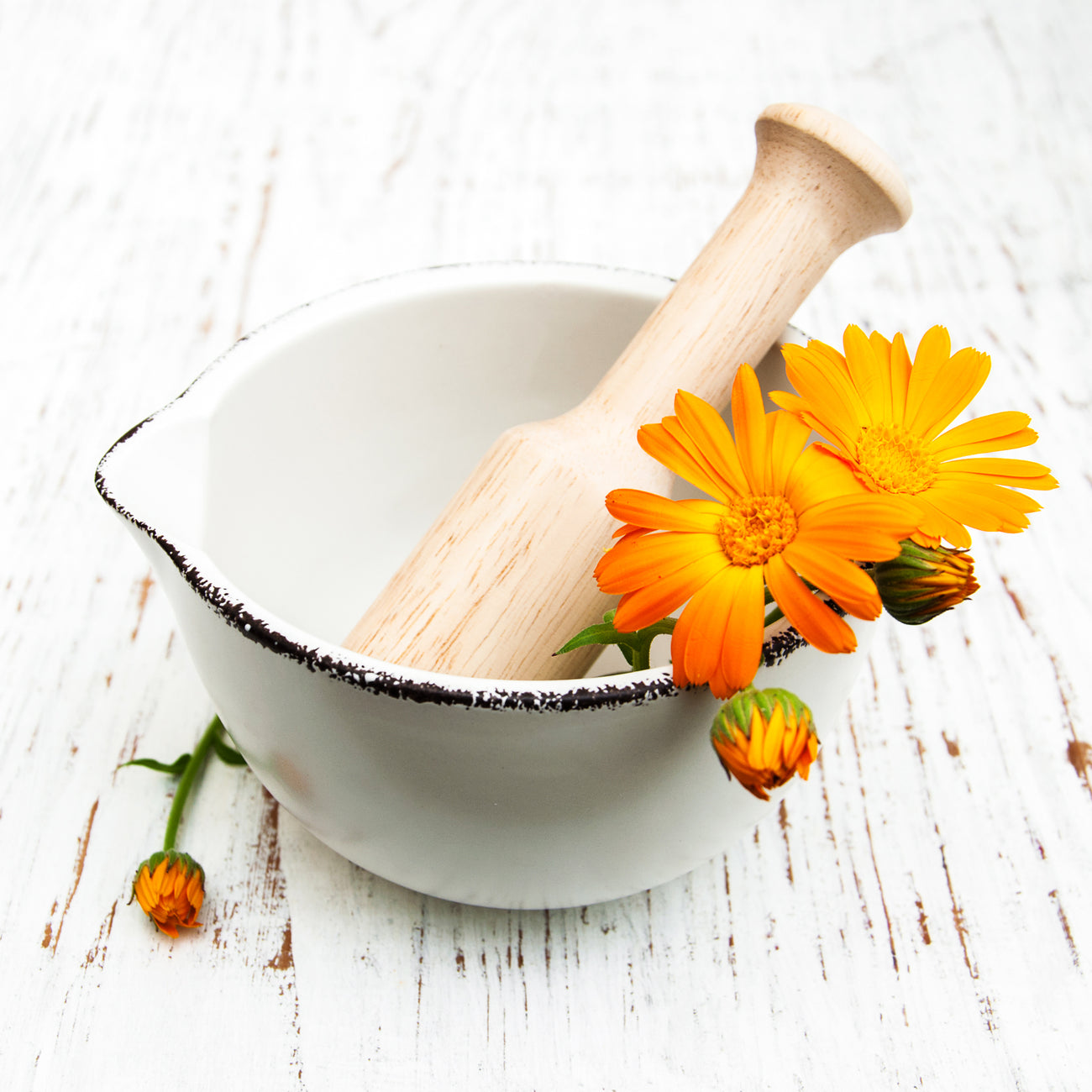 Flower Seed Varieties