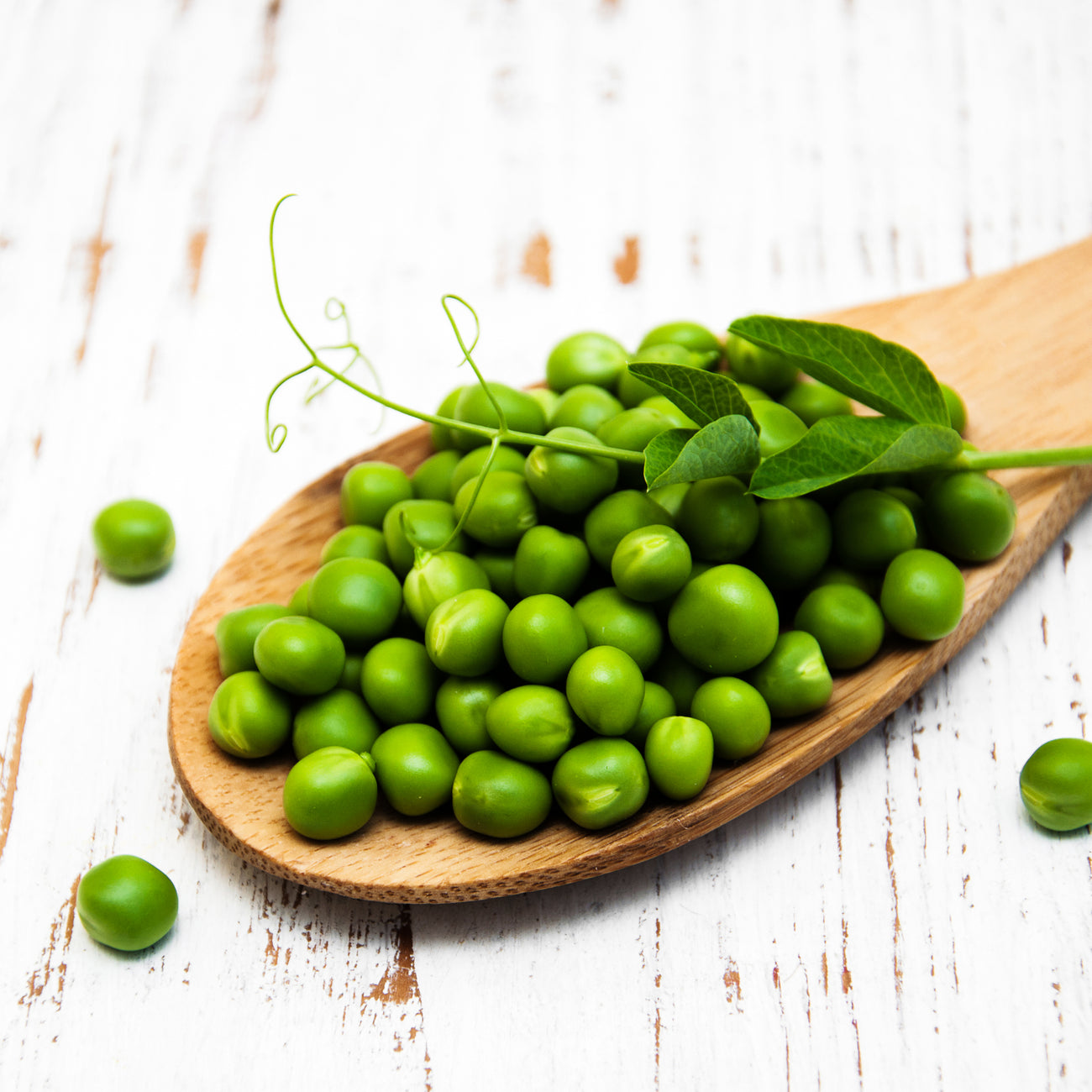 Pea Seed Varieties