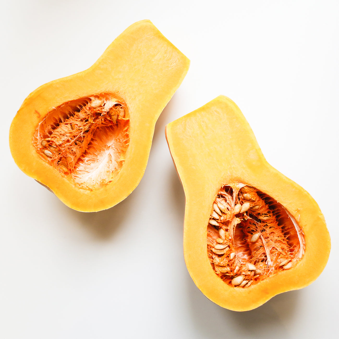 Squash Seed Varieties