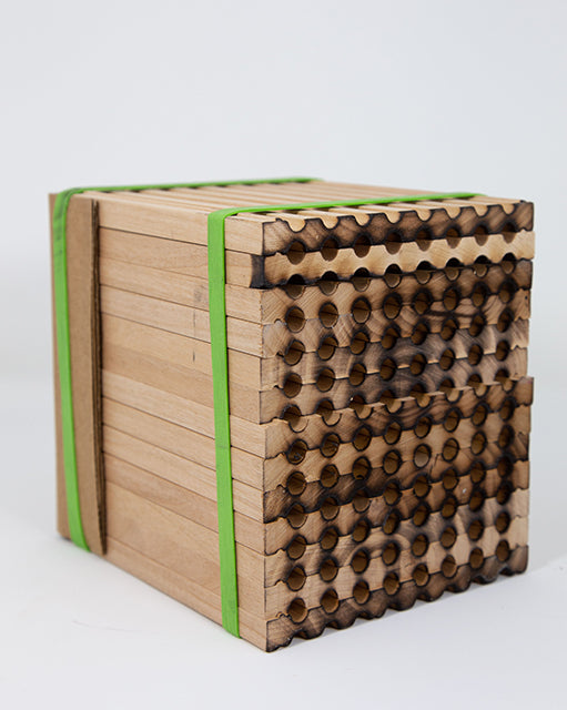 Multiple wooden trays for mason bees secured with green tape