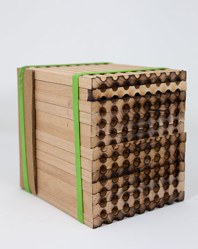 Multiple wooden trays for mason bees secured with green tape