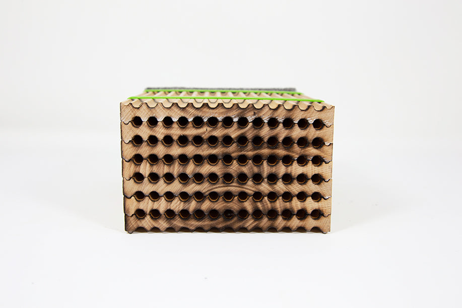 Front view of small wooden tray designed for leafcutter bees with 6mm nesting holes