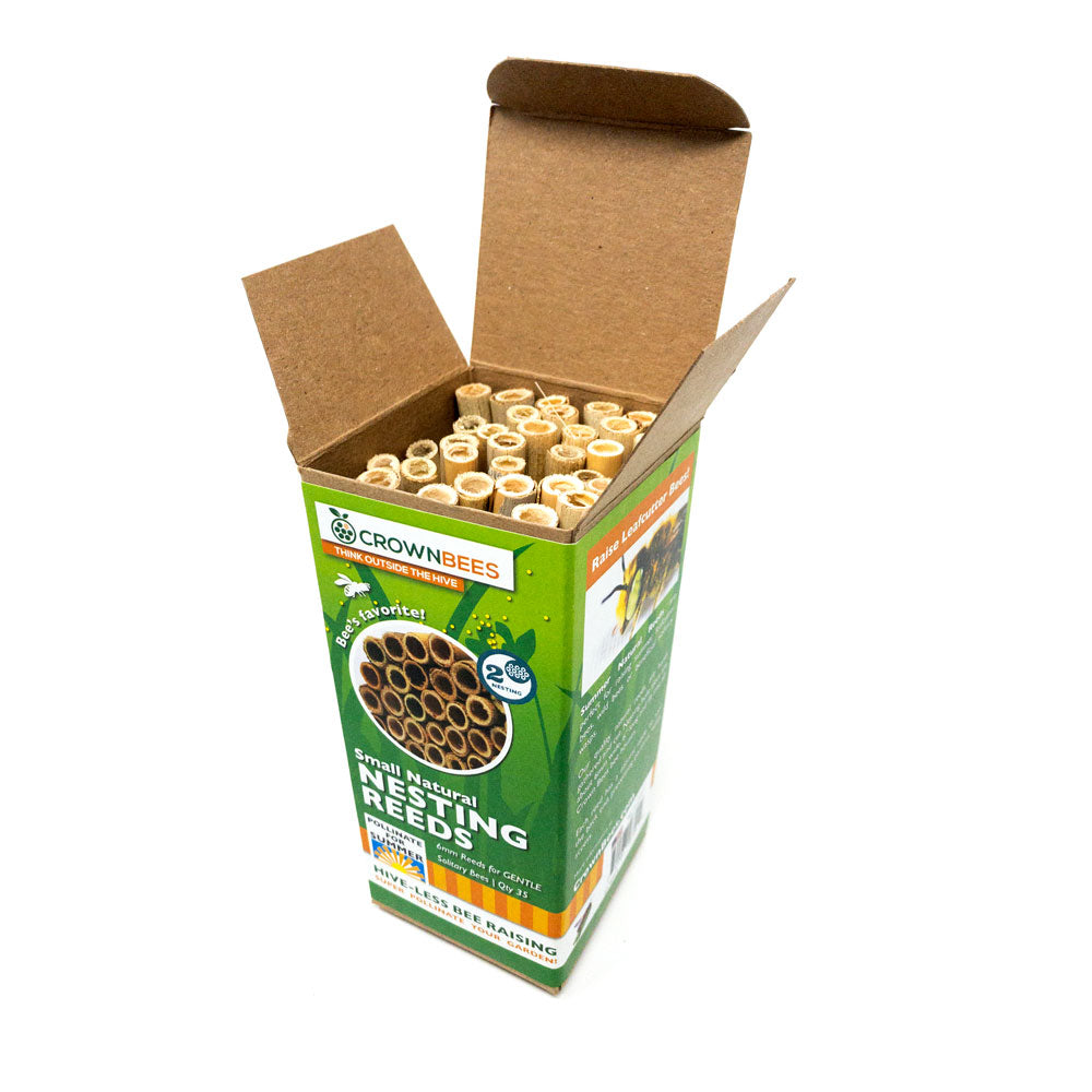 Package of 6mm reed tubes suitable for leafcutter bee nesting, presented in an open container