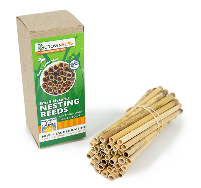 A bundle of bee 6mm reeds filled with natural reeds to attract for leafcutter bees