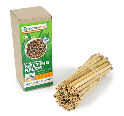 A bundle of bee 6mm reeds filled with natural reeds to attract for leafcutter bees