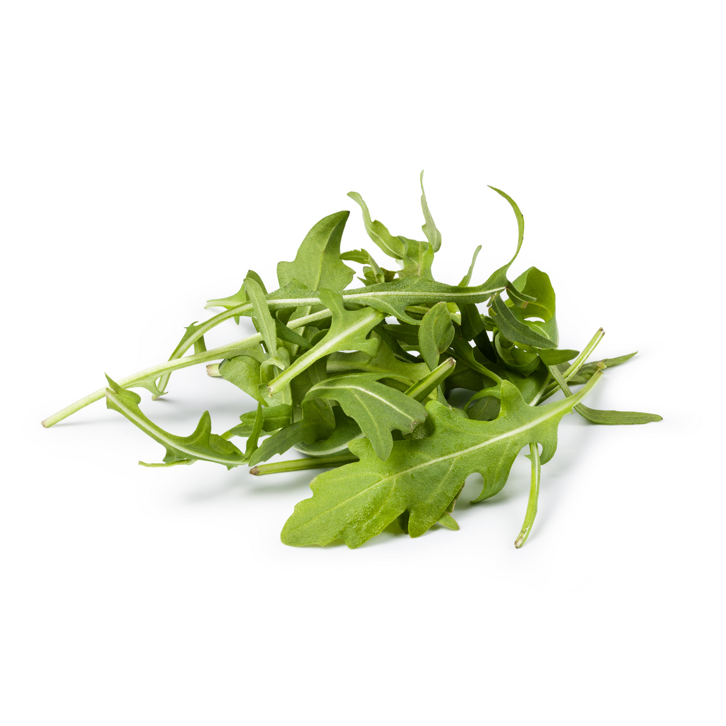 Fresh arugula leaves isolated on white background