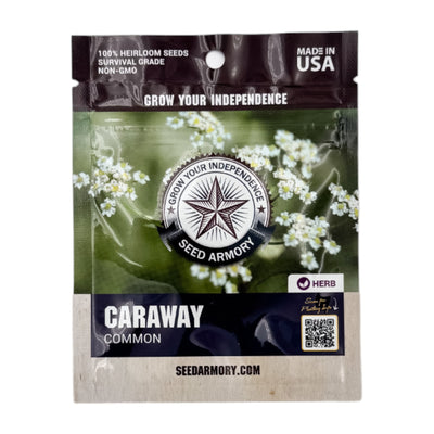 Caraway Heirloom Seeds - Common