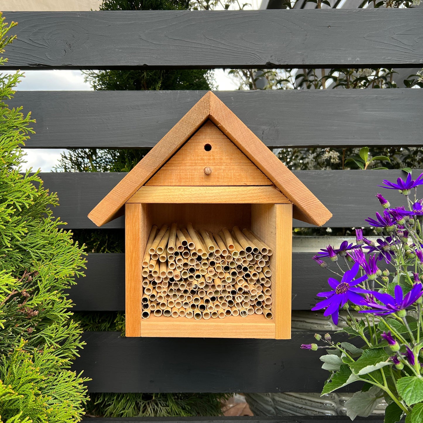 An array of 6mm reeds designed for leafcutter bees, organized in a bee house habitat