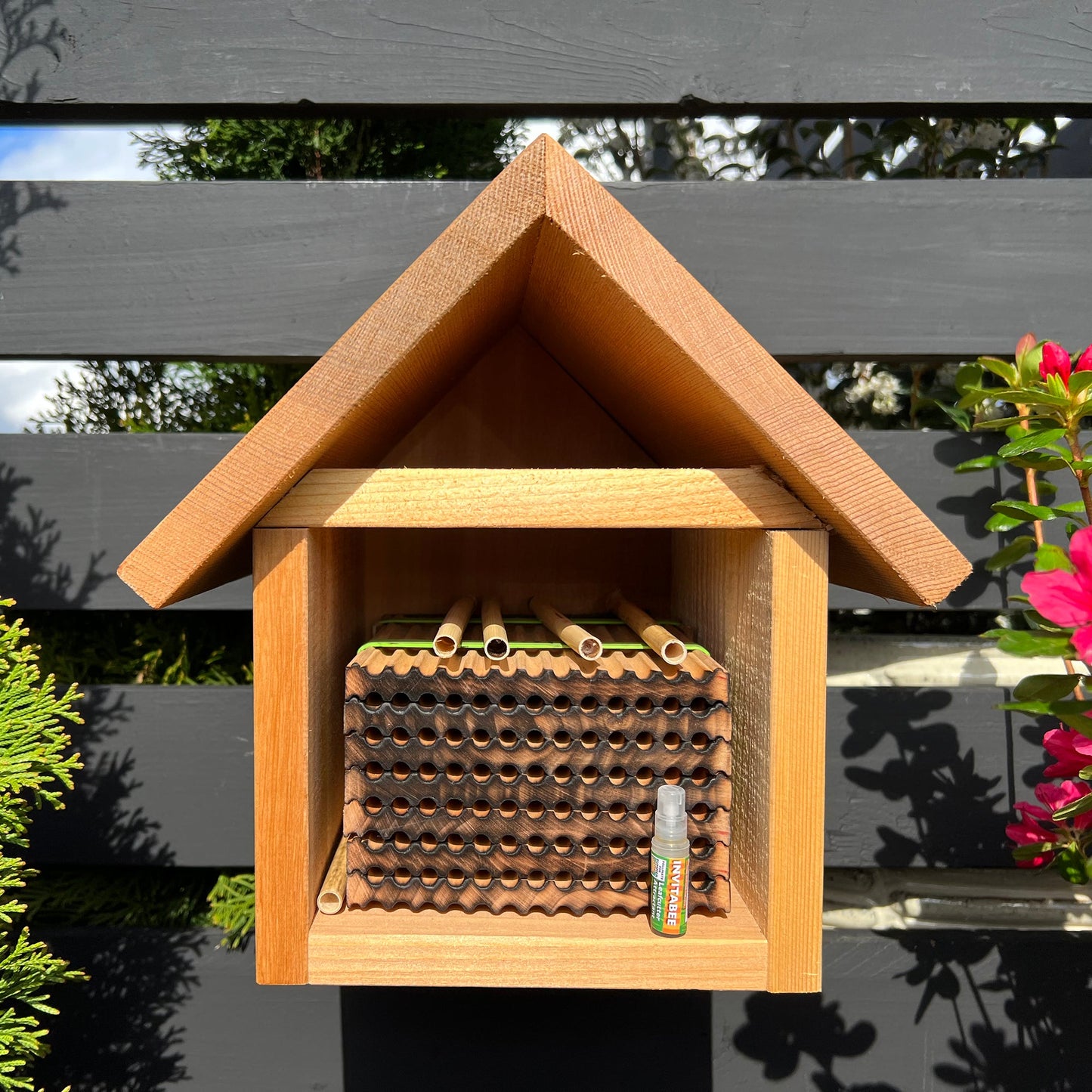 Small wooden trays inside bee habitat for leafcutter bees with 6mm holes