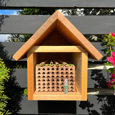 A wooden mason bee house designed to be used with InvitaBee attractant
