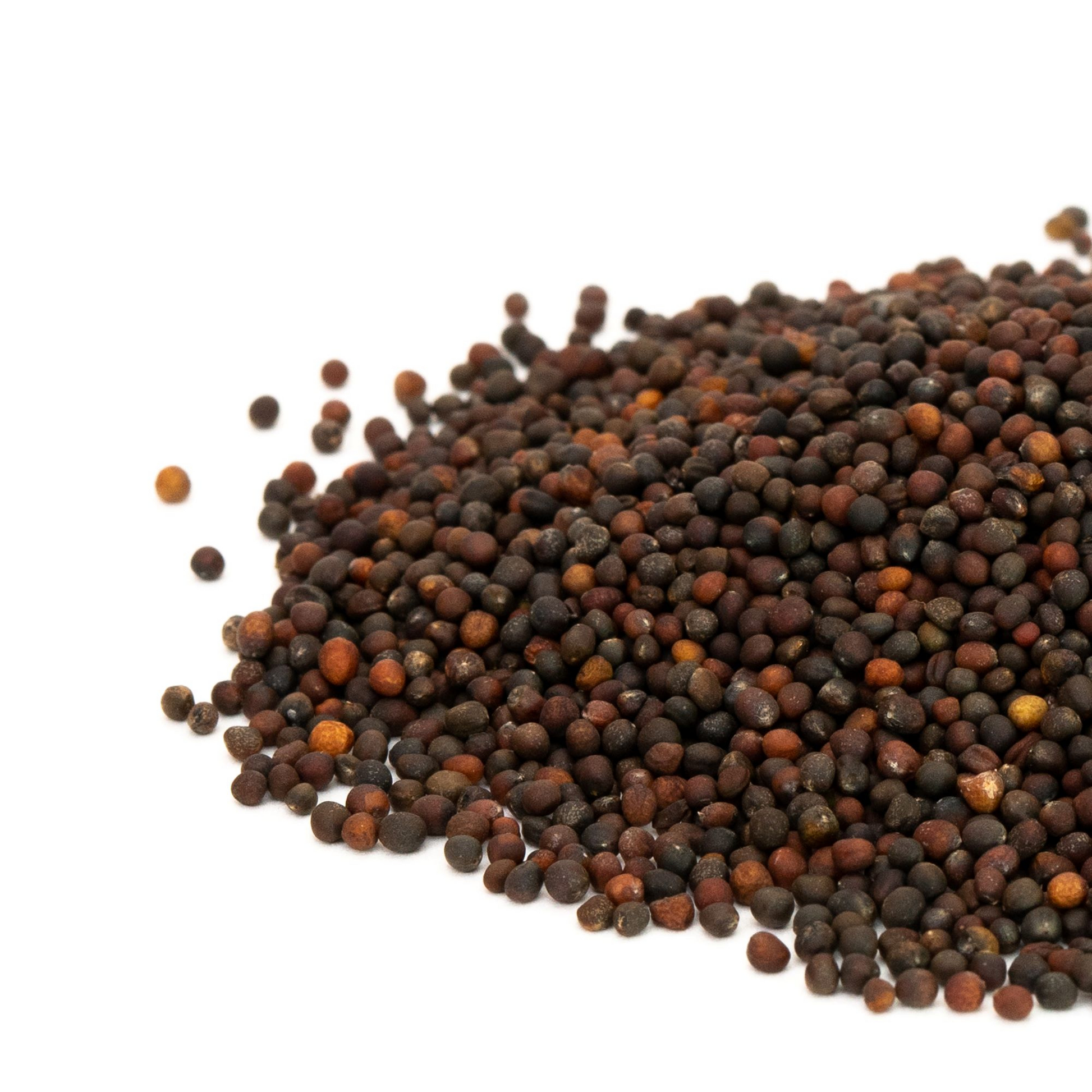 Heirloom Golden Acre cabbage seeds displayed in a white background