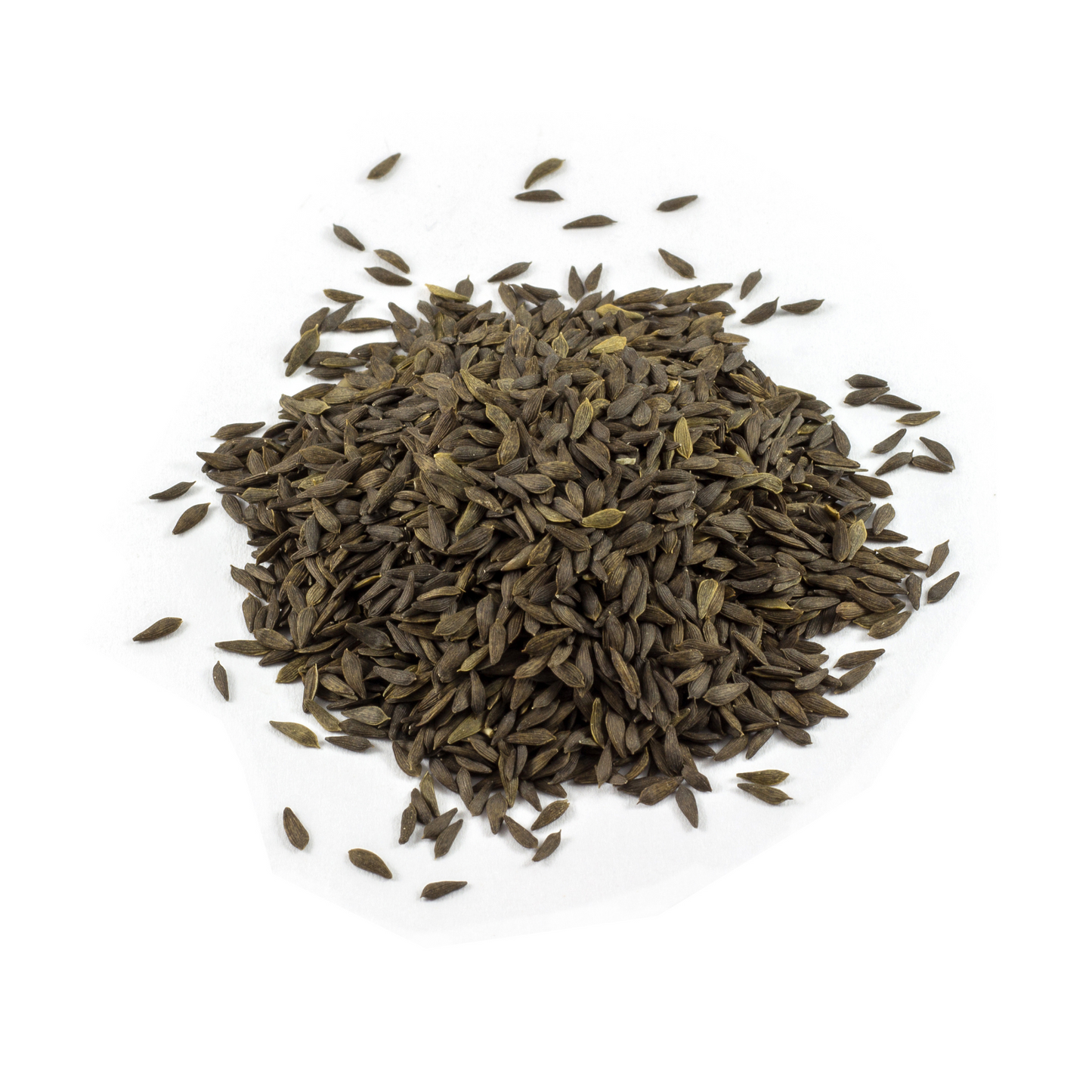 Pile of Heirloom Ruby Red Leaf lettuce seeds on a white background