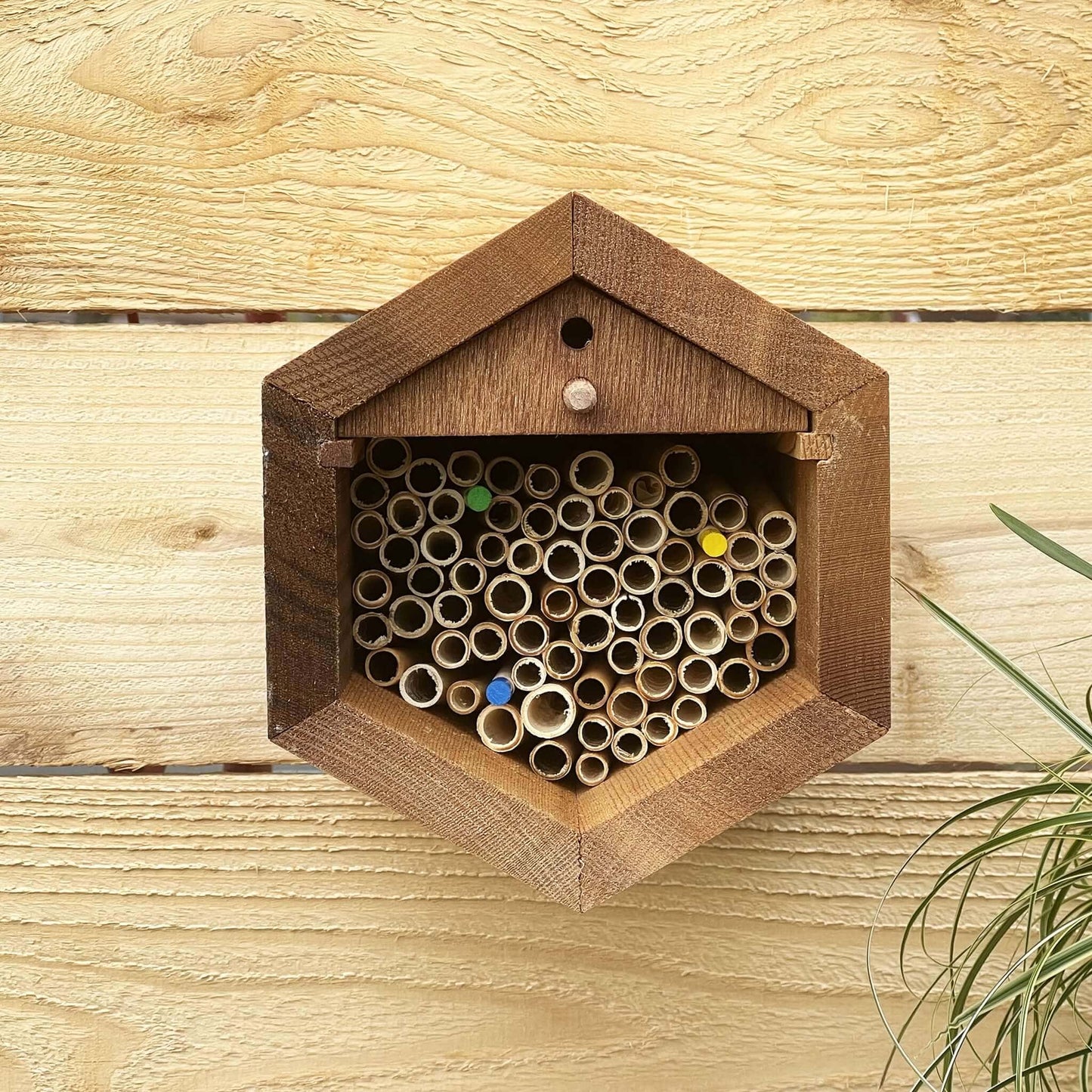 Front view of the Cabana & Mixed Reeds Bee House with a green plant accent