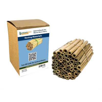 Packaging of Spring Natural Reeds for Mason Bees and bundle of reeds as a product example