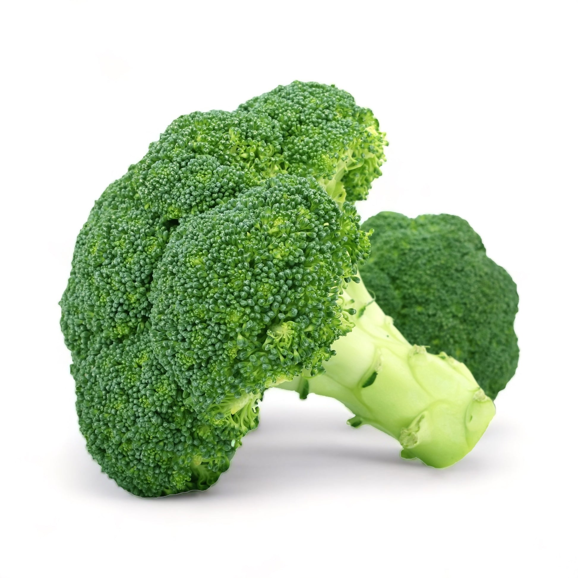 Fresh Green Sprouting Calabrese broccoli florets on a white background