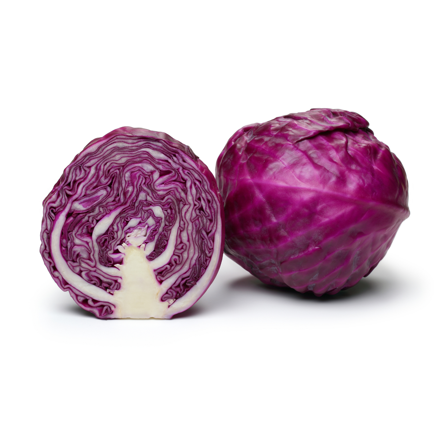 View of heirloom two Red Acre cabbages