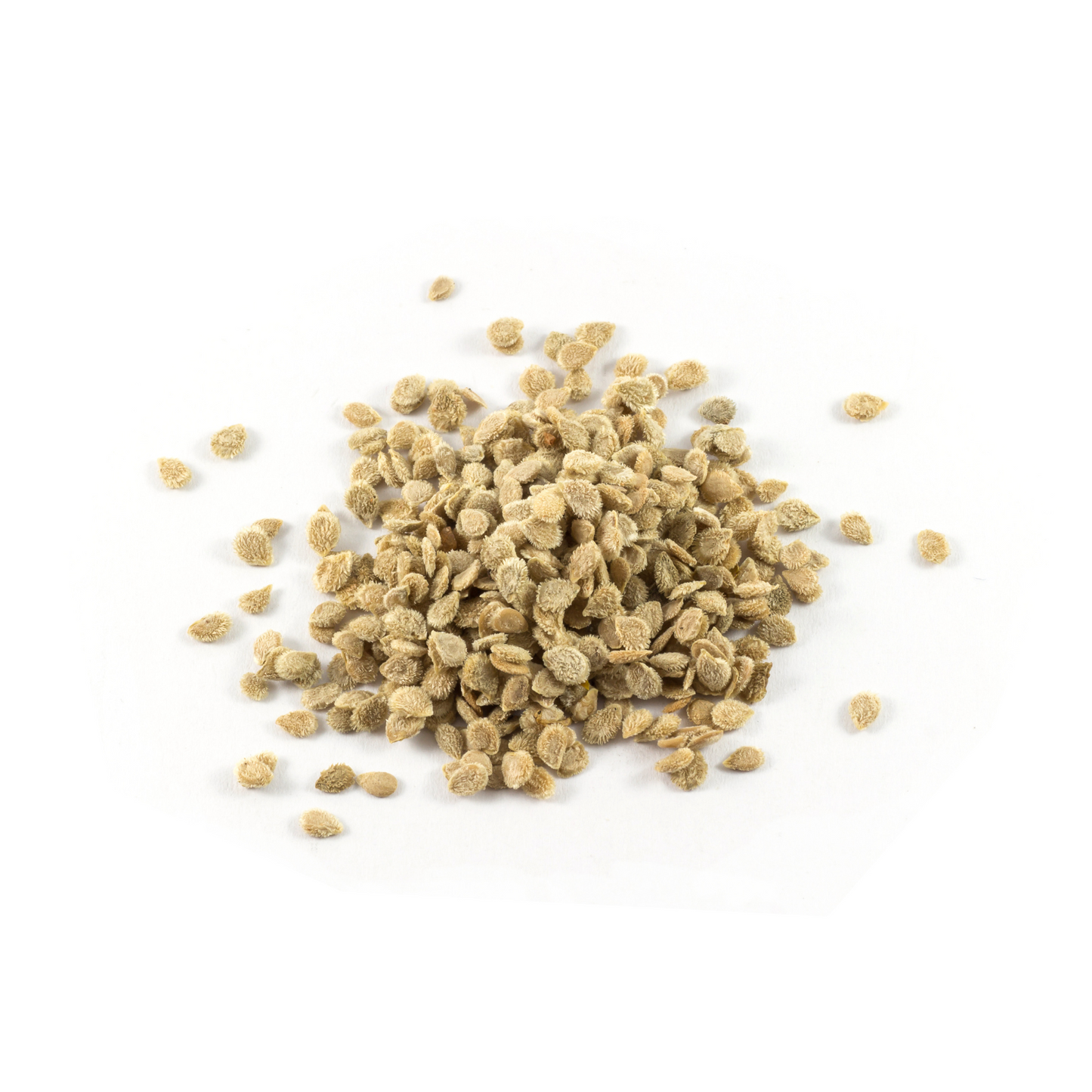Delicious variety tomato seeds displayed on a white background
