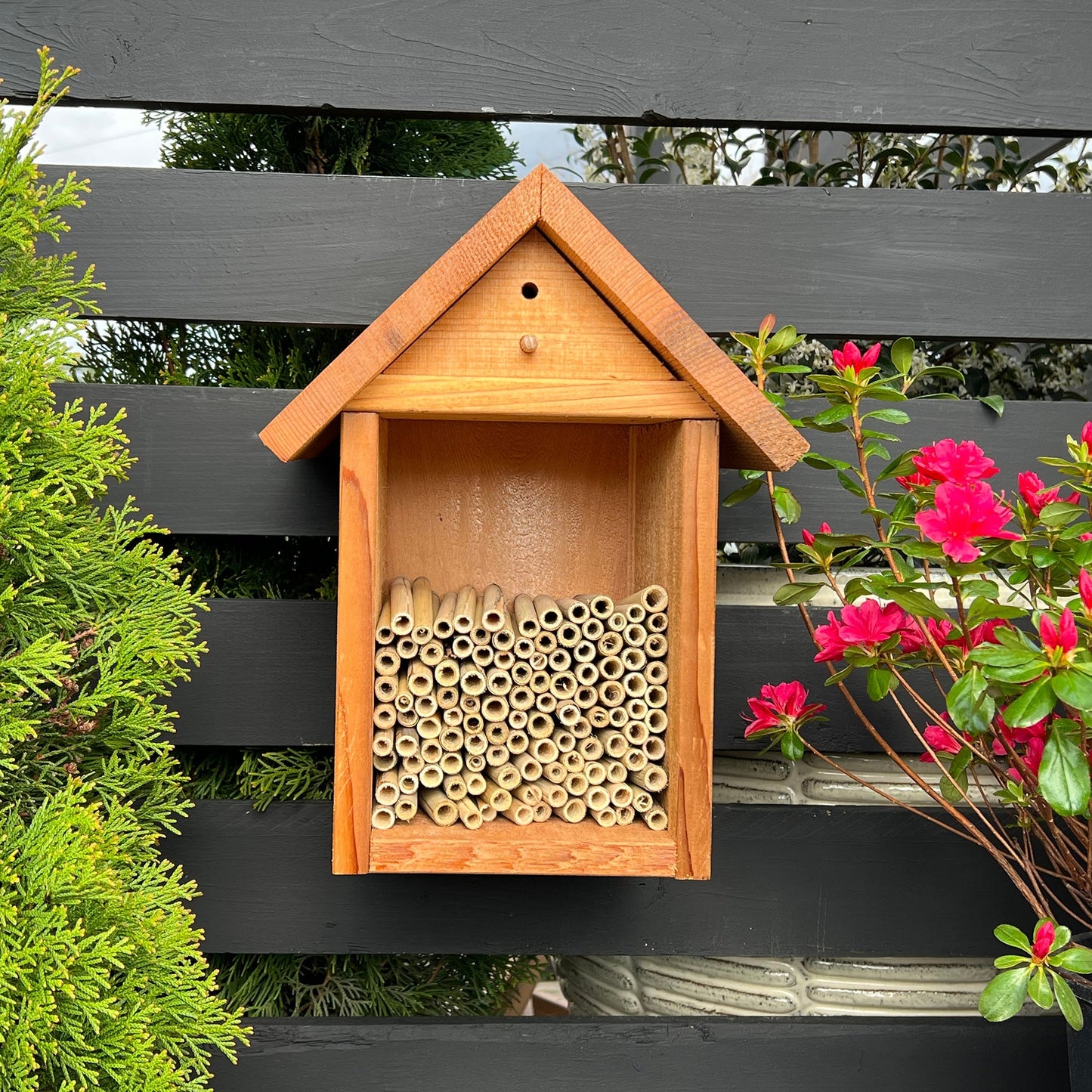 Mason Bee habitat with Spring Natural Reeds inside