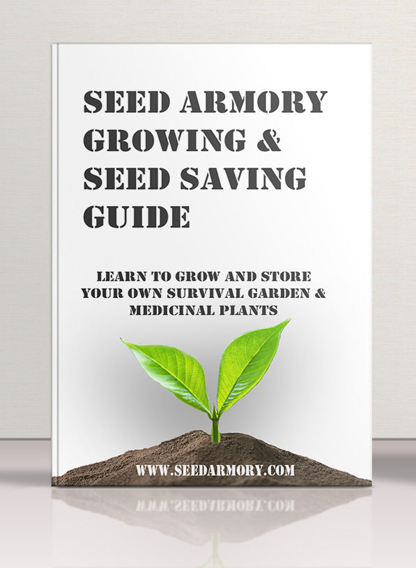 Front cover of 'Growing and Seed Saving Guide' paperback book