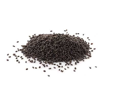 Bundle of Lemon Basil Heirloom Seeds displayed