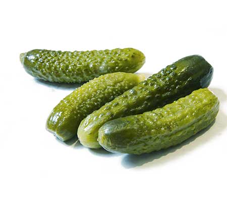 Fresh fully grown Heirloom National Pickling cucumbers on a white background