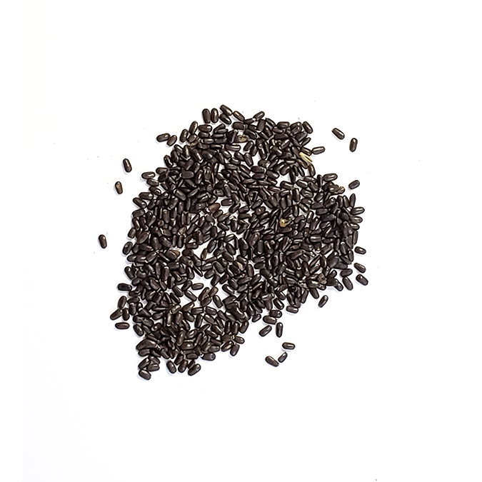 Pile of Heirloom English Lavender seeds scattered onto a white surface