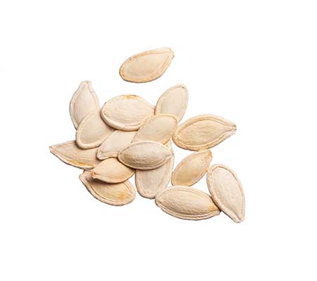 Winter spaghetti squash seeds arranged neatly on a white surface