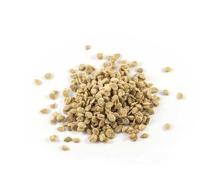 Display of Floradade Tomato Heirloom Seeds on a white background
