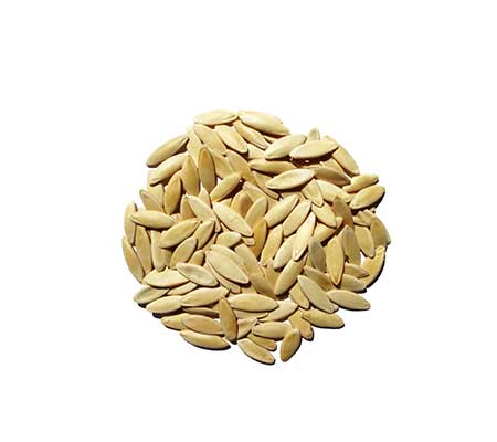 Pile of Heirloom National Pickling cucumber seeds on a white surface
