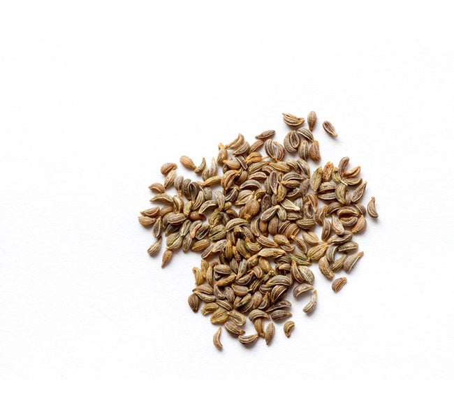 Parsley Seeds - Dark Green Italian Flat